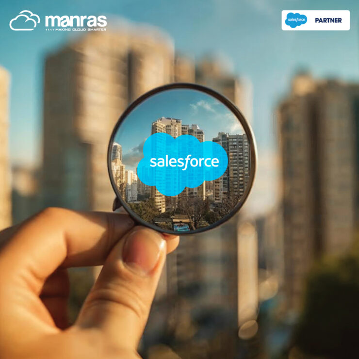 Salesforce real estate CRM - Manras Technologies