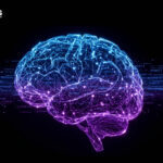 Agentforce AI ROI: How to Build a Business Case for Salesforce AI Agents